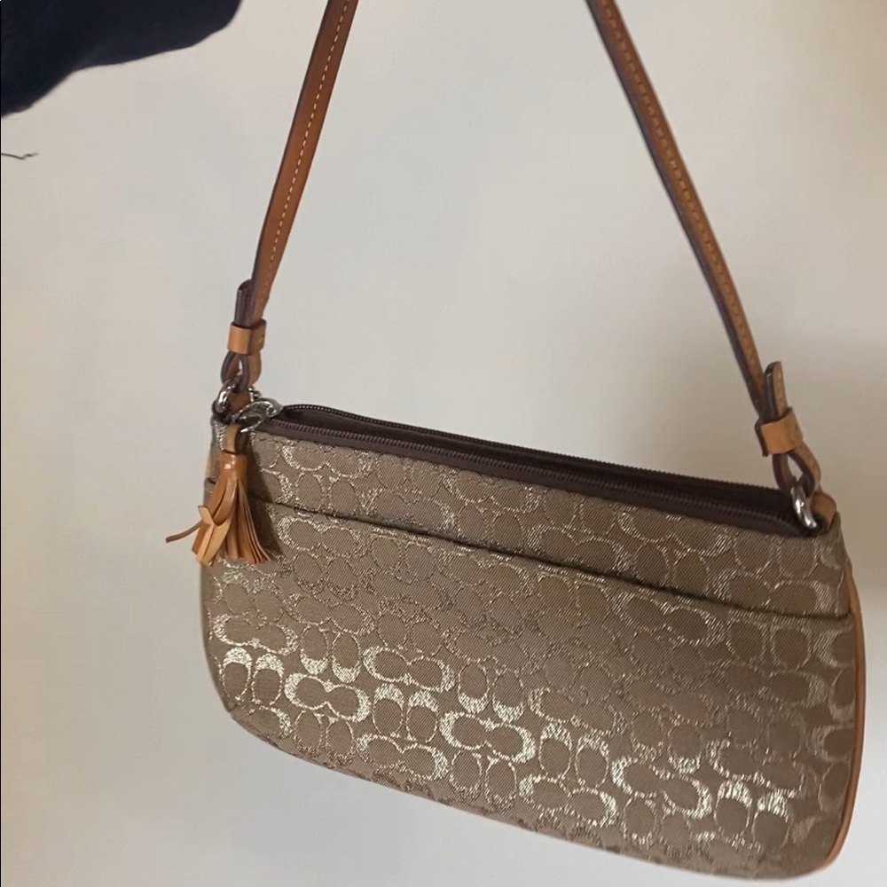 Coach mini bag